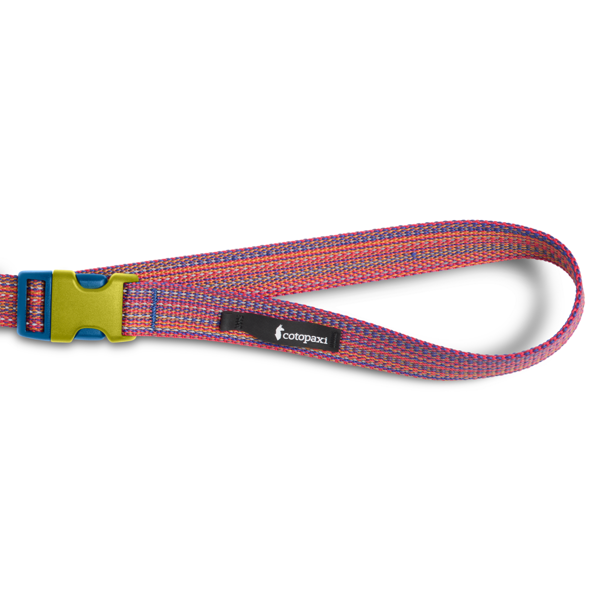 Alternative view of Del Día Dog Leash